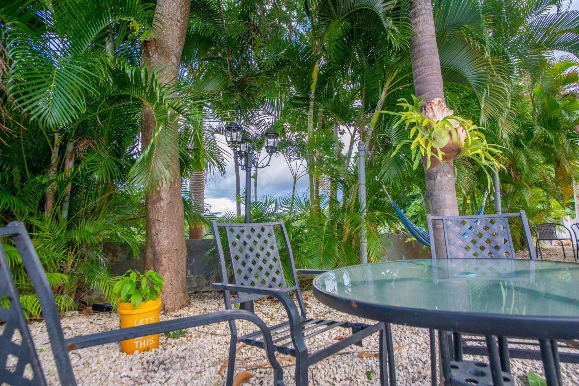 Casa Loba Suite 4 With Private Pool Rincón Exteriér fotografie