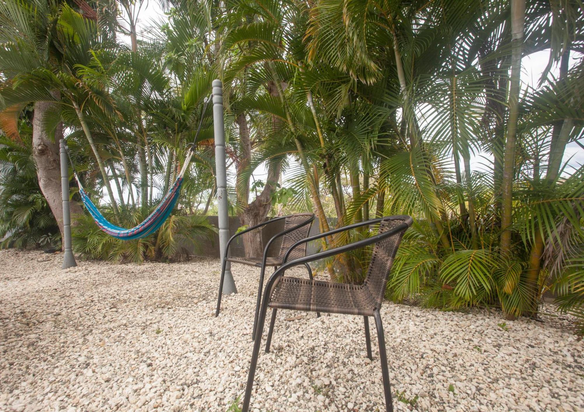 Casa Loba Suite 4 With Private Pool Rincón Exteriér fotografie